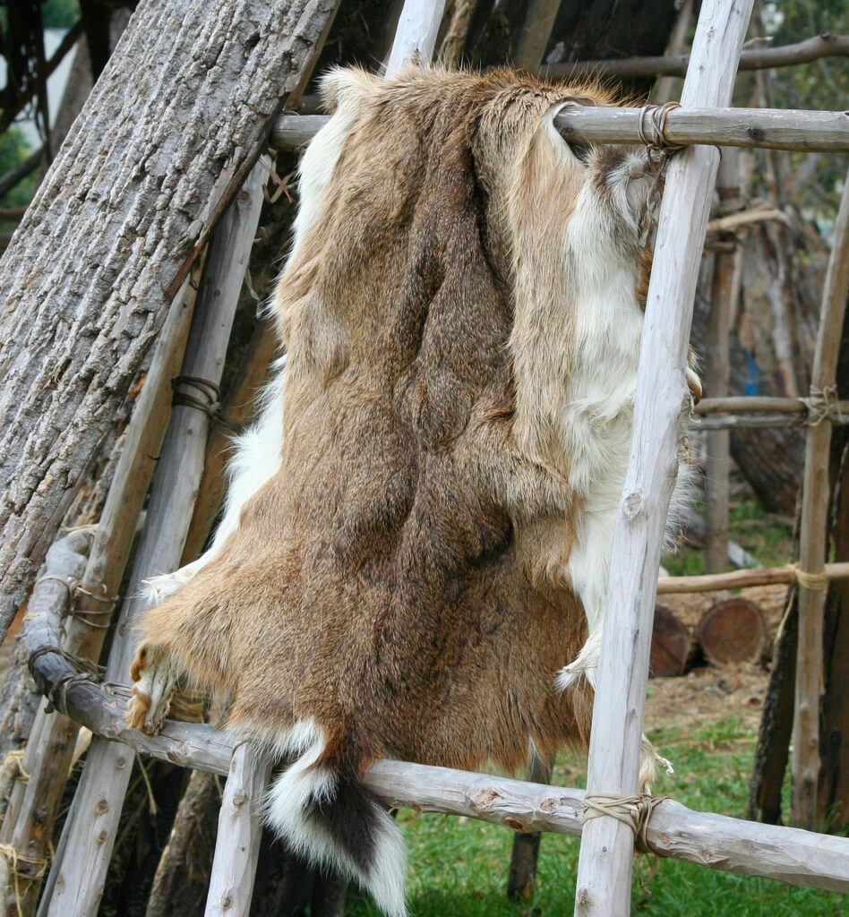 鹿革の画像